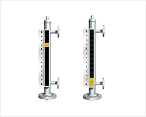 Magnetic Level Gauge